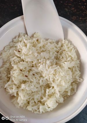 प्लेन जीरा राइस (Plain jeera rice recipe in hindi) रेसिपी मुख्य फोटो