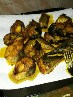 A picture of Fried Titus.