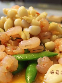 【菇菇巧思】xo醬蝦仁雪白菇 的食譜成品照片