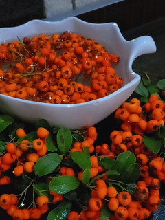عکسی از دستور ترشی زالزالک