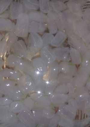 Foto resep Nata De Aloe Vera (Lidah Buaya)