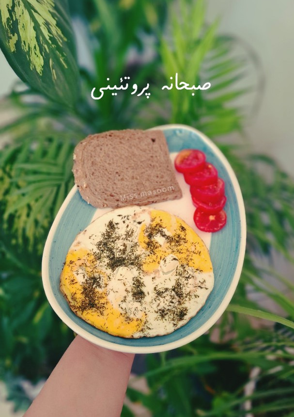 عکسی از دستور صبحانه رژیمی پروتئینی