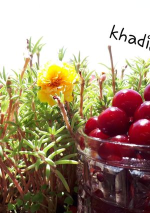 عکسی از دستور ترشی آلبالو