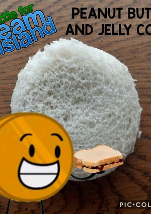 A picture of Battle for Dream Island: Peanut Butter and Jelly Coiny.