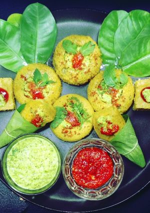 દમણી ઢોકળાં (Damani Dhokla recipe in Gujarati) રેસીપી મુખ્ય ફોટો