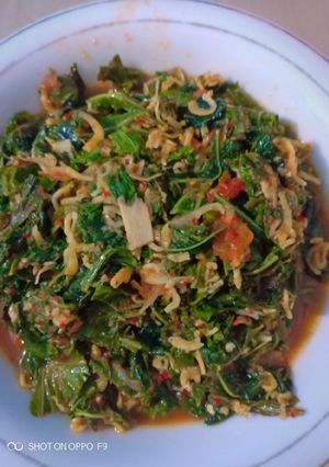 Foto resep Tumis daun singkong terasi pedas