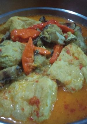 Foto resep Ikan cucut kuah santan