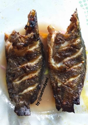 Foto resep Papuyu bakar kuah terasi