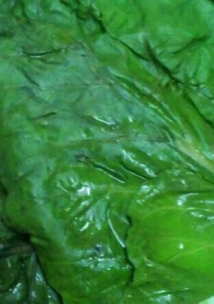 Una foto de Blanquear acelgas para congelar