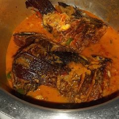 A picture of Coconut cream Fish.