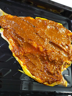 عکسی از دستور ماهی جنوبی 🐟