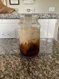 Brown sugar (cold foam) iced coffee