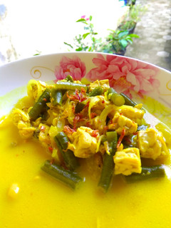 Foto resep Lodeh tempe kacang panjang
