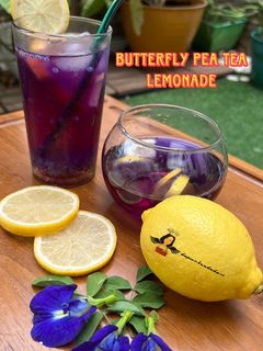 Foto resep Lemon Tea Bunga Telang / Butterfly Pea Tea Lemonade 🍋💐