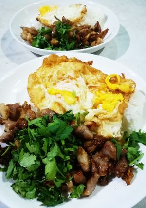 รูปของ ข้าวหมูทอดกระเทียม+ไข่ดาว