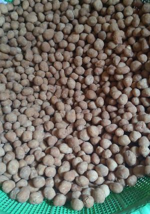 Foto resep Kacang telur gurih renyah manis2
