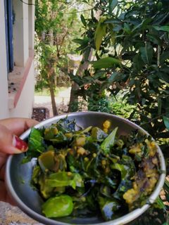 নিম বেগুন (neem begun recipe in Bengali) রেসিপির প্রধান ছবি