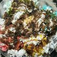 Putu Mayang Pelangi
