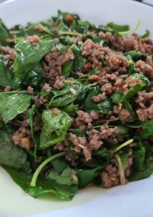 รูปของ เนื้อผัดใบยี่หร่า