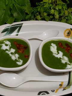 A picture of Spinach Coriander Creamy Soup.