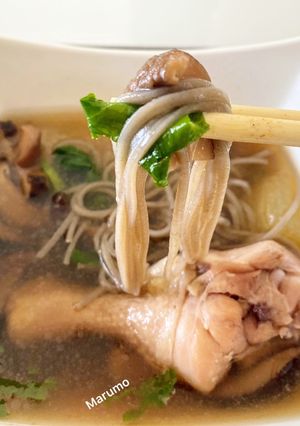 A picture of Soba Noodles with Chicken, Winter Melon Soup.