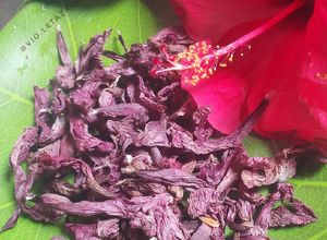 Foto resep Pewarna Alami Hibiscus (Bunga Sepatu) ala Violet Azalea