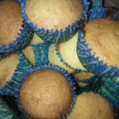 Plain cupcakes A picture of Plain cupcakes.