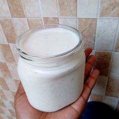 A picture of Fura.