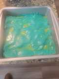 Blue Berry Coconut Fudge
