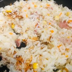 A picture of Pilaf.