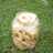 Kerupuk Cireng