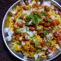 A picture of Pav ragdo.