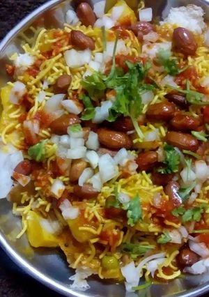 A picture of Pav ragdo.