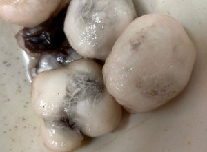 透明（琉璃）元宵湯圓 的食譜成品照片