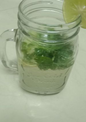 A picture of Mojito.