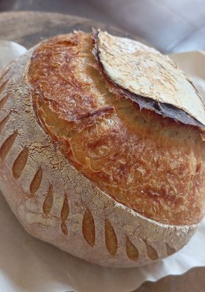Foto resep Basic Sourdough Bread