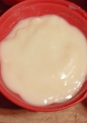 Una foto de Postrecitos de vainilla y chocolate con suero de leche