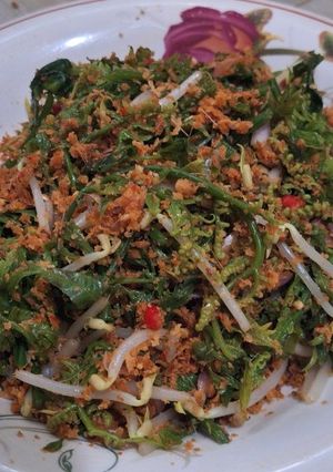 Foto resep Anyang Pakis