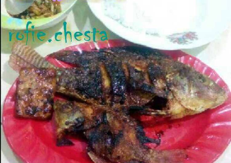 Cara buat Nila bakar madu rasa jeruk nipis yang nikmat Untuk Jualan