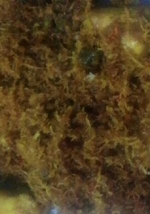 Foto resep Ayam goreng serundeng praktis