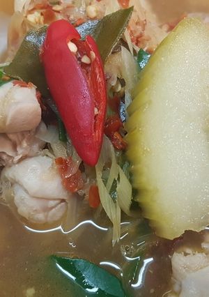 รูปของ แกงไก่ใส่ฟัก(อีสาน)