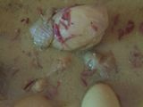 Opor ayam