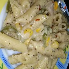 A picture of White sauce pasta.