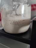Levain de riz