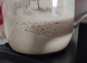 Une photo de Levain de riz