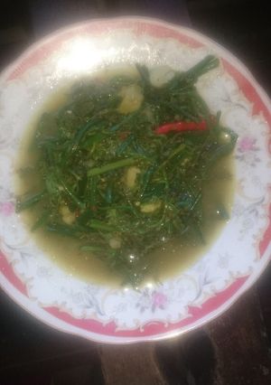 Foto resep Tumis pakis pedas
