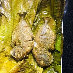 A picture of Pudina fish.