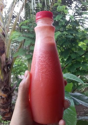 Foto resep Juice Fasting ala Diet Kenyang