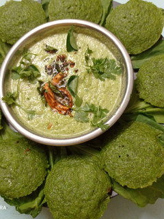પાલક રવા ઈડલી (Palak Rava Idli Recipe In Gujarati) રેસીપી મુખ્ય ફોટો