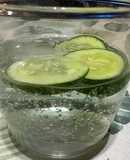 Gin tonic con pepino